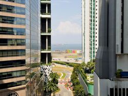 Skysuites@Anson (D2), Apartment #482859511